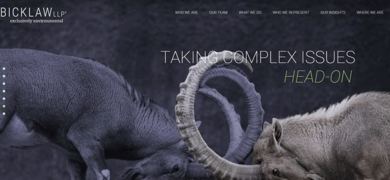 The Ultimate 2022 Guide to Law Firm Branding 19 bicks law homepage